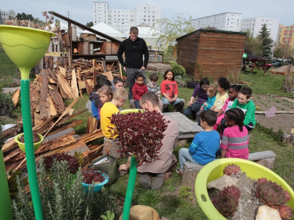 écoliers dans un jardin potager